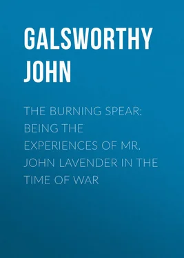 John Galsworthy The Burning Spear: Being the Experiences of Mr. John Lavender in the Time of War обложка книги