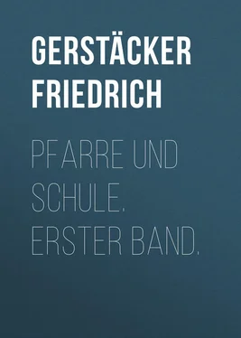 Friedrich Gerstäcker Pfarre und Schule. Erster Band. обложка книги