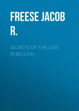 Jacob Freese Secrets of the Late Rebellion обложка книги