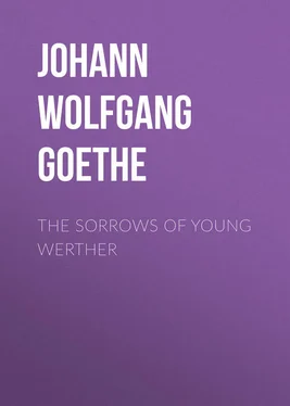 Johann von Goethe The Sorrows of Young Werther обложка книги