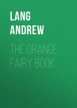 Andrew Lang The Orange Fairy Book обложка книги