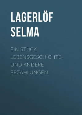 Selma Lagerlöf Ein Stück Lebensgeschichte, und andere Erzählungen обложка книги