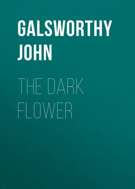 John Galsworthy The Dark Flower обложка книги