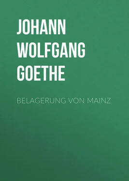 Johann von Goethe Belagerung von Mainz обложка книги