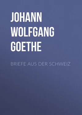 Johann von Goethe Briefe aus der Schweiz обложка книги