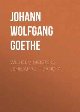 Johann von Goethe Wilhelm Meisters Lehrjahre — Band 7 обложка книги