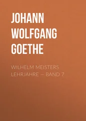 Johann von Goethe - Wilhelm Meisters Lehrjahre — Band 7