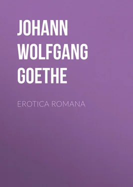 Johann von Goethe Erotica Romana обложка книги