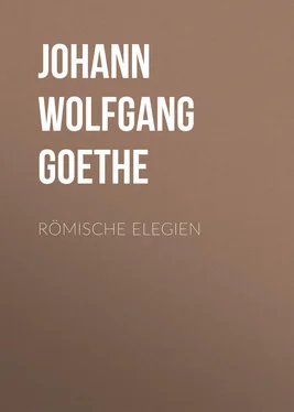 Johann von Goethe Römische Elegien обложка книги