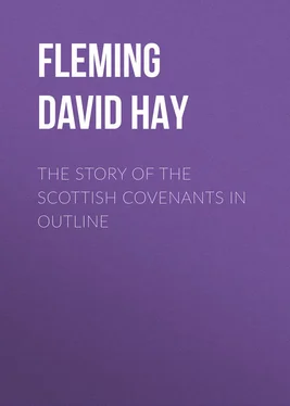 David Fleming The Story of the Scottish Covenants in Outline обложка книги