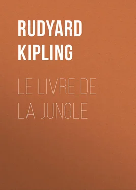 Rudyard Kipling Le livre de la Jungle