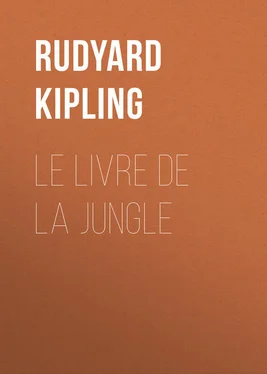 Rudyard Kipling Le livre de la Jungle обложка книги