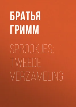 Якоб и Вильгельм Гримм Sprookjes: Tweede verzameling обложка книги