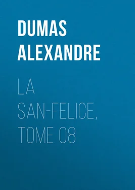 Alexandre Dumas La San-Felice, Tome 08 обложка книги