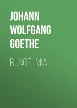 Johann von Goethe Runoelmia обложка книги