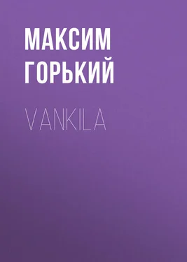 Максим Горький Vankila обложка книги