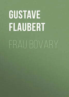 Gustave Flaubert Frau Bovary обложка книги