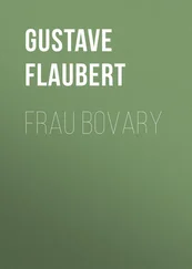 Gustave Flaubert - Frau Bovary