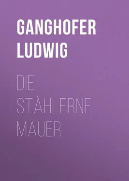 Ludwig Ganghofer Die stählerne Mauer обложка книги