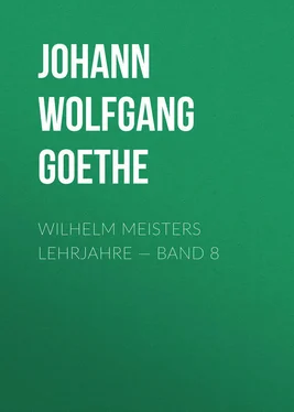 Johann von Goethe Wilhelm Meisters Lehrjahre — Band 8 обложка книги