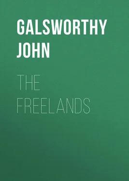 John Galsworthy The Freelands обложка книги