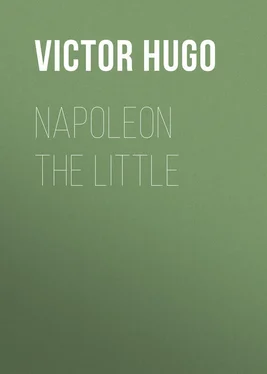 Victor Hugo Napoleon the Little обложка книги