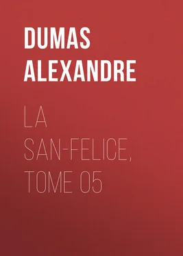 Alexandre Dumas La San-Felice, Tome 05 обложка книги