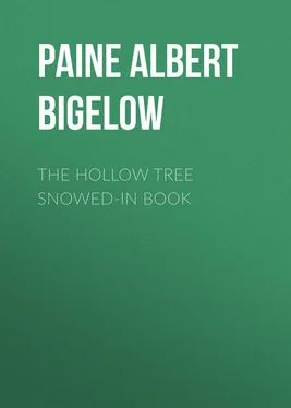 Albert Paine The Hollow Tree Snowed-In Book обложка книги