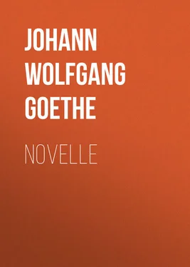 Johann von Goethe Novelle обложка книги