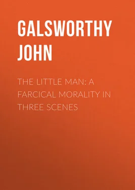 John Galsworthy The Little Man: A Farcical Morality in Three Scenes обложка книги