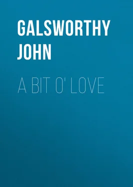 John Galsworthy A Bit O' Love обложка книги