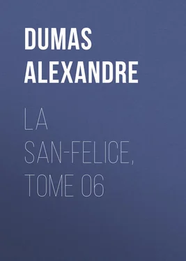 Alexandre Dumas La San-Felice, Tome 06 обложка книги