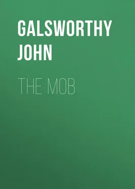 John Galsworthy The Mob обложка книги