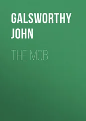 John Galsworthy - The Mob