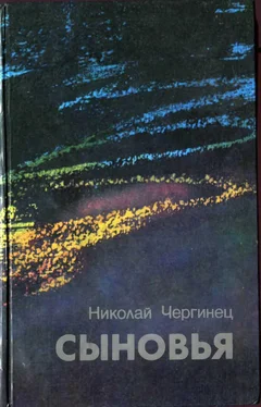 Николай Чергинец Сыновья обложка книги