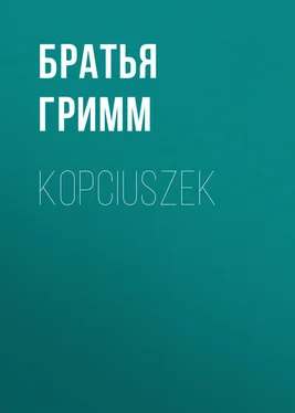 Якоб и Вильгельм Гримм Kopciuszek обложка книги