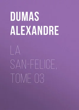 Alexandre Dumas La San-Felice, Tome 03 обложка книги