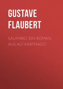Gustave Flaubert Salambo: Ein Roman aus Alt-Karthago