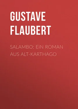 Gustave Flaubert Salambo: Ein Roman aus Alt-Karthago обложка книги