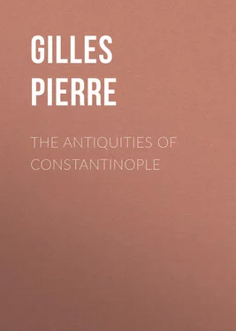 Pierre Gilles The Antiquities of Constantinople обложка книги