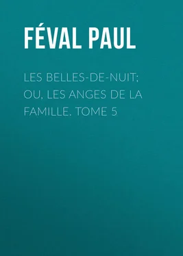 Paul Féval Les belles-de-nuit; ou, les anges de la famille. tome 5 обложка книги