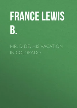 Lewis France Mr. Dide, His Vacation in Colorado обложка книги