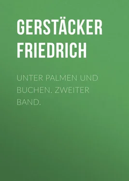 Friedrich Gerstäcker Unter Palmen und Buchen. Zweiter Band. обложка книги