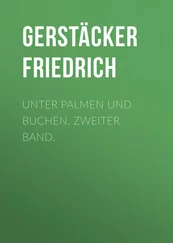 Friedrich Gerstäcker - Unter Palmen und Buchen. Zweiter Band.