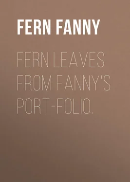 Fanny Fern Fern Leaves from Fanny's Port-folio. обложка книги