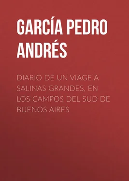 Pedro García Diario de un viage a Salinas Grandes, en los campos del sud de Buenos Aires обложка книги
