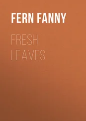 Fanny Fern - Fresh Leaves