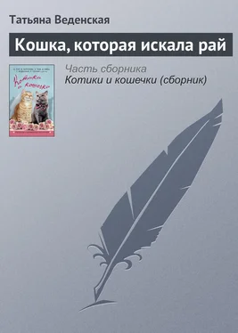 Татьяна Веденская Кошка, которая искала рай обложка книги
