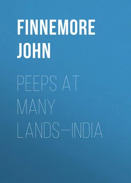 John Finnemore Peeps at Many Lands—India обложка книги