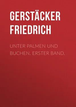 Friedrich Gerstäcker Unter Palmen und Buchen. Erster Band. обложка книги